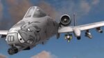 A-10 Warthog Aircraft theme, Nose art, Fighter aircraft