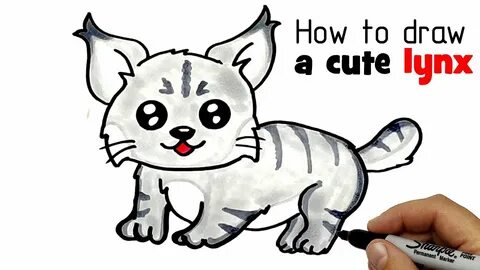 How to draw a cute lynx. Drawing and cooring a lynx. - YouTu