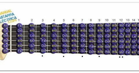 SITUACIÓN ✅ de las notas en el Diapasón de la Guitarra, Grad