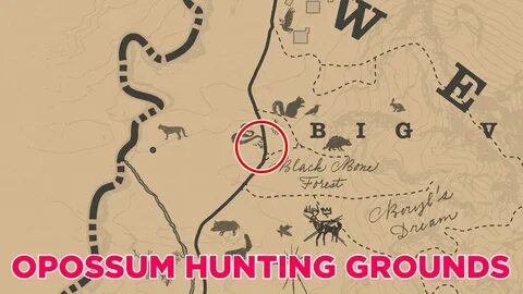 RDR2 opossum location and map guide (Master Hunter 9 Challen
