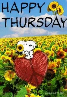 Happy Thursday! --Peanuts Gang/Snoopy Happy snoopy, Happy th