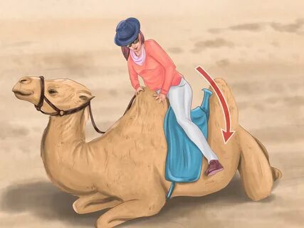 How to Ride a Camel: 12 Steps (with Pictures) - wikiHow