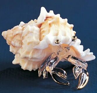 Hermit Crab 22kt Gold accents S2 250 Glass baron, Shell craf