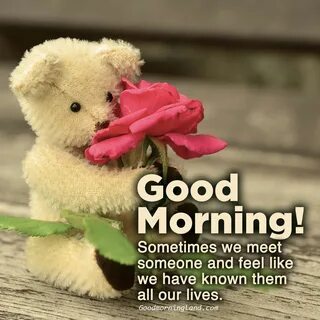 Top animated Good morning love quotes Morning love quotes, G