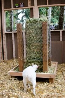 Square bale hay feeder for goats! What a great idea for goat