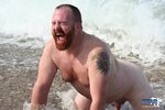 Amazing ginger bear Steve Ellis frolics on the beach