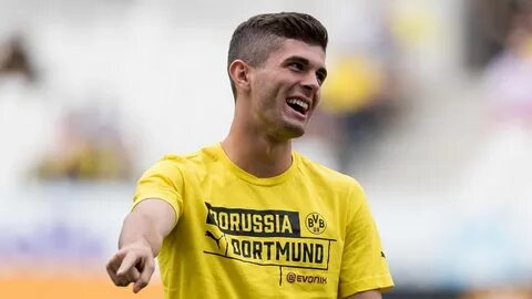 Christian Pulisic's pup plea heard as Dortmund star's dog dr