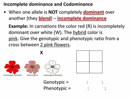 Genetics Notes Gregor Mendel (by Teachers Pet 5 min) - ppt d