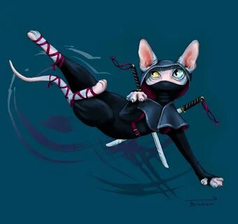 Teodora Bicescu - Ninja Cat