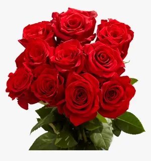 Red Roses Valentine S Day Delivery - Beautiful Red Rose Flow