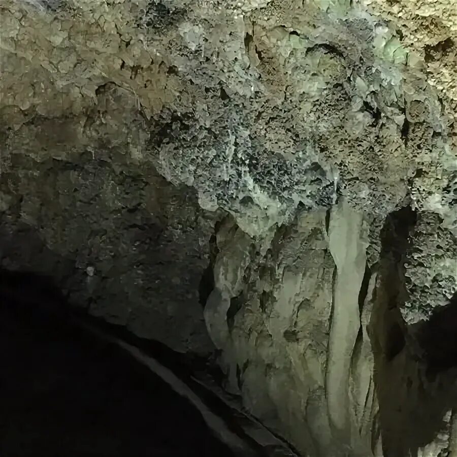Mammoth Onyx Cave (Horse Cave) - 旅 游 景 点 点 评 - Tripadvisor