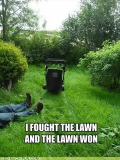 Funny Picture Dump Of The Day - 53 Pics Lawn care humor, Gar