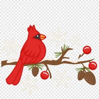 Cardinals Logo - Cardinal Svg Free, Png Download - 432x432 (