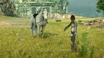 Shadow of The Colossus Remake White Agro Agro Blanco Gamepla