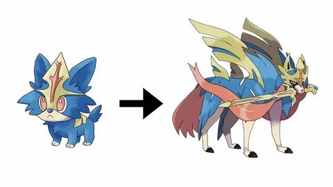 Zacian & Zamazenta Evolution Pokemon Sword & Shield Fanart -