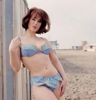Picture of Shirley Anne Field