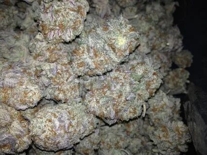 Strain of the week- Blackberry Kush - Halcyon Organics