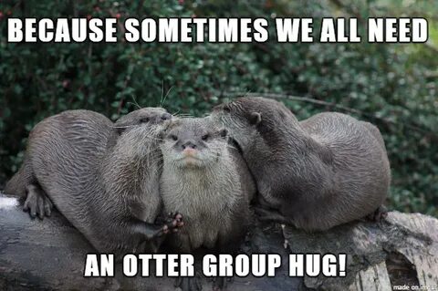 Gwendlyn's otter hug - Meme on Imgur