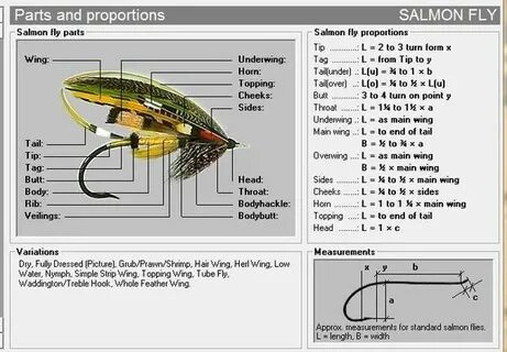 Fly Tying Proportions - Buscar con Google