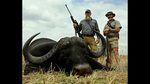 Cape Buffalo Hunt (South Africa Part 2 of 2) - Viking Chroni