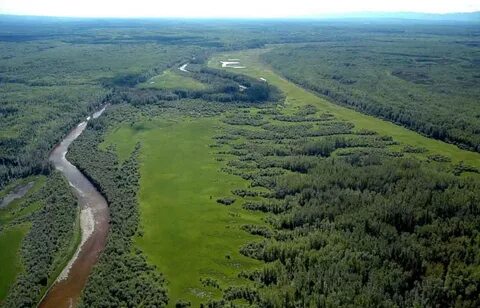 taiga plains20th at emaze Presentation