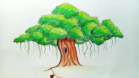 Buy banyan tree drawing easy OFF-50