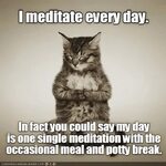 Best Meditation Memes Ever -- Made Me LMAO!