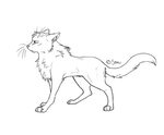 free_cat_lineart_by_gothicwolf_snow-d4a30hx.png (885 × 729) 