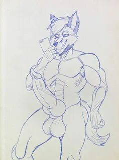 The Big ImageBoard (TBIB) - anthro arctic fox athletic body 