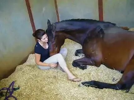 Girl and Horse Great Bond - YouTube