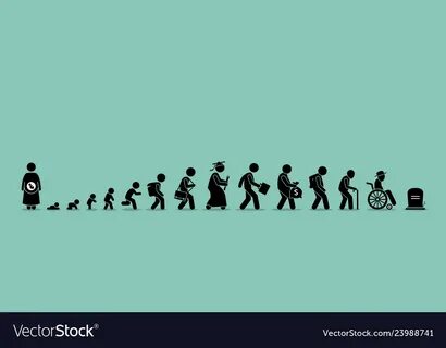 Life cycle and aging process person growing up Vector Image