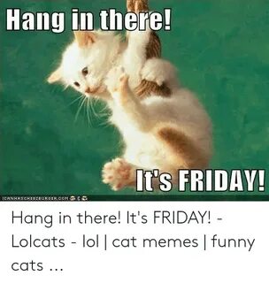 Hang in There! It's FRIDAY! ICANHASCHEEZE URGERCOM Hang in T