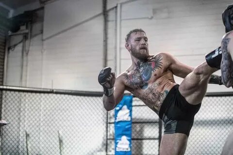 Conor McGregor is back in the game - FIGHTMAG