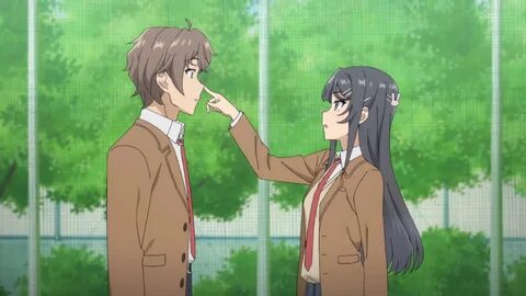 Reseña Seishun Buta Yarou wa Bunny Girl Senpai no Yume wo Mi