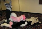 Fursuit Collection - 4/75 - Hentai Cosplay
