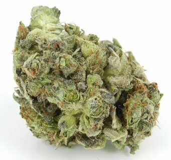 $150 Deal - Juicy Fruit - BUDTENDERS OF DC