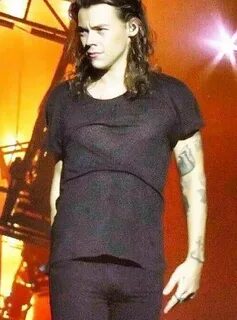 Famous Bulges в Твиттере: "Harry Styles bulge.