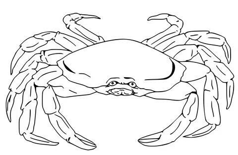 Crab Line Drawing at PaintingValley.com Explore collection o