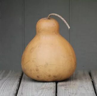 gourd - Google Search Psychic love reading, Online psychic, 