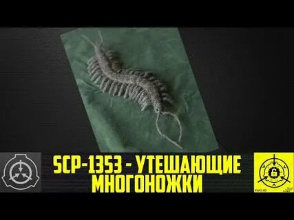 SCP-1353 - Утешающие многоножки (СТАРАЯ ОЗВУЧКА) - YouTube