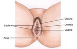 Advanced Gangrene Of Vagina acsfloralandevents.com