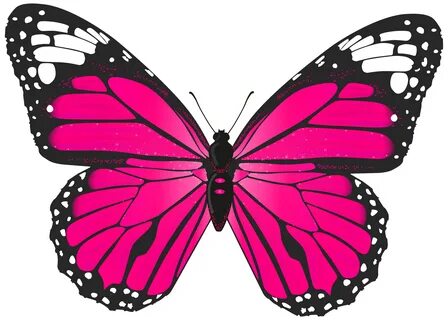 Pink Butterfly PNG Transparent Clip Art Image Gallery Yopric