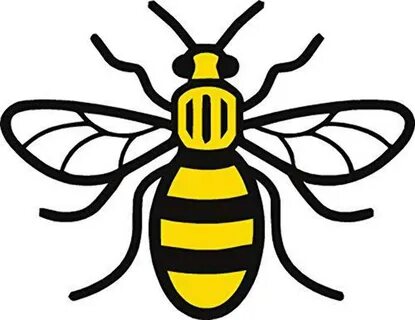 The Worker Bee - The History of the Manchester Worker Bee