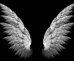 Earn Your Wings. Angel wings iphone wallpaper, Black wallpap