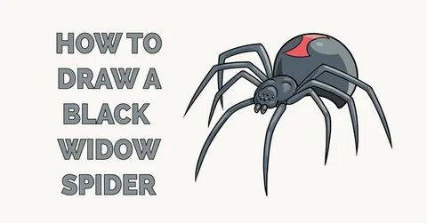 How to Draw a Black Widow Spider - Really Easy Drawing Tutor