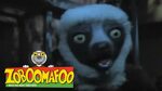 Zoboomafoo 109 - Night time (Full Episode) - YouTube