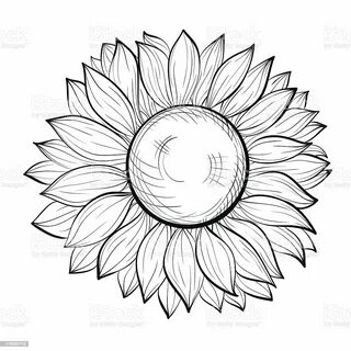 Sunflower Flower Outline Drawing / Go back gallery for simpl