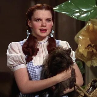 Гостья из Страны Оз (Кукла The Wizard of Oz Dorothy Multi to