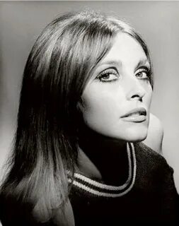 Pin de Vintage Hollywood Classics em Sharon Tate Rosto