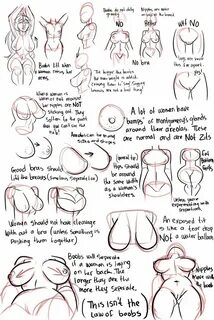 Female Drawing, Body Drawing, Figure Drawing, Drawing Reference, Body Refer...